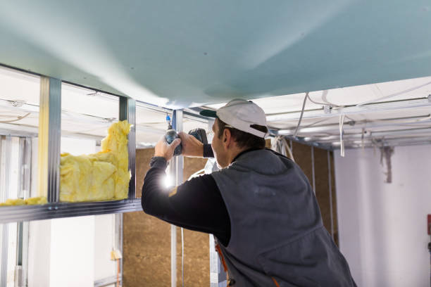 Best Vapor Barrier Installation  in Montclair, CA